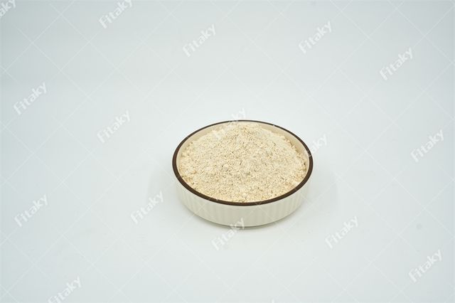 Garlic Powder Seasoning Garlic Powder 1kg Ginger Garlic Flavor Powder - Image 3