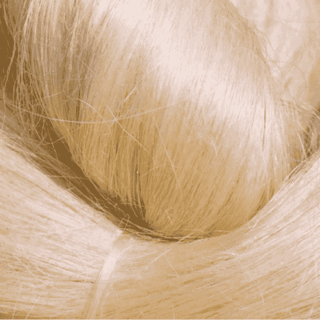 3mm Natural Fiber Sisal Baler Twine for Agriculture Concrete & Spinning Use-Eco-Friendly Chemical-Resistant - Image 4