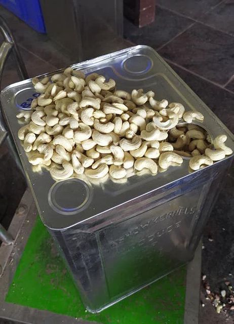 Raw Cashew Nuts High Quality OEM Vietnam Factory Supply Grade a Tin Box Packaging - Image 3