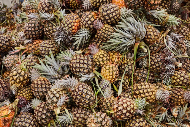 Cheapest Price Fresh Pineapple Export from Vietnam - Newest Crop & Best Quality Fresh Fruit – product photo 5, product detail gallery