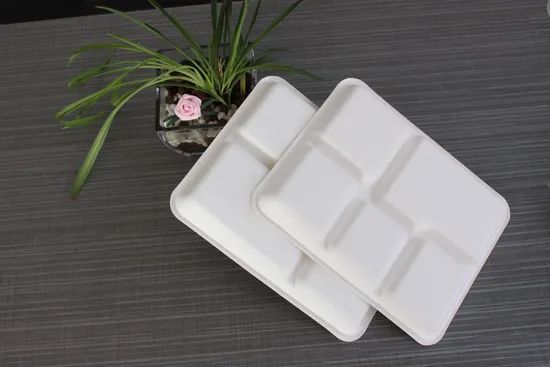 Food Grade Popular 12.5'' 5 Compartment Sugarcane Tray Disposable Bagasse Tableware - Image 5