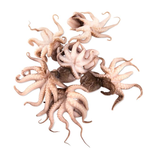 Frozen Baby Octopus Superior Grade Seafood Selected Small Octopus Cleaned And Frozen Freshly Preserved Soft - Image 3