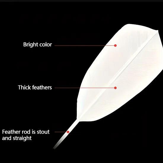 Hot Selling Goose Feather Durable Badminton Shuttlecock OEM Accept Trademark BZ Model NO. BZ01 Speed 75,76,77,78 Type - Image 2