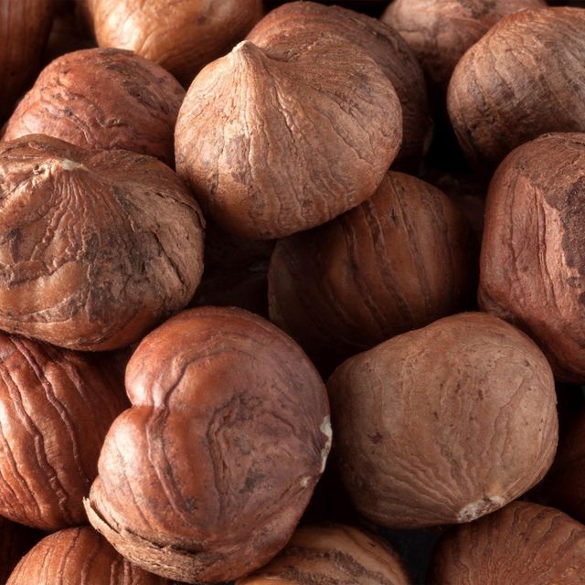 Bulk Hazelnuts Premium Quality Fresh Roasted Natural Snack Wholesale Supplier for Hotels Cafes Restaurants and Shops - Image 5