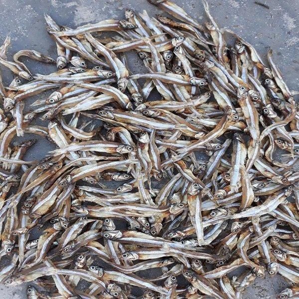 Wholesale Dried Fish High Quality Dried Anchovy Fish Sea Food whatsap +255787979235 - Image 4
