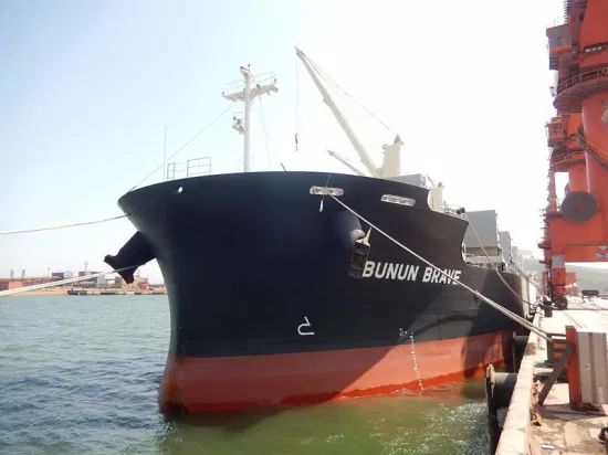 10000dwt Bulk Carrier Cargo Ship Condition New Fuel Type Diesel Specification CE Model NO. SAASA21 HS Code 8474390000 Max Pay Load >50ton - Image 2