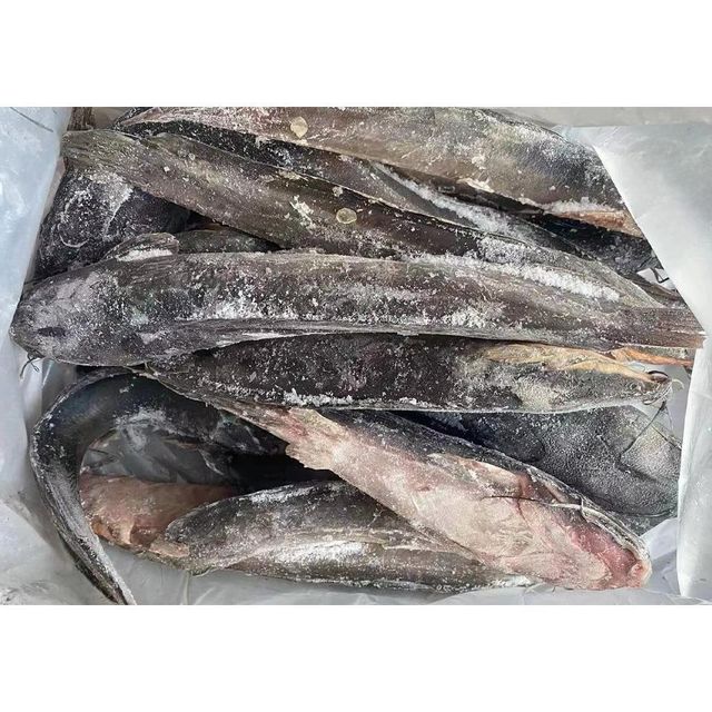 Frozen Catfish Premium Frozen Fish Selection For Seafood Importers Retail Suppliers And Wholesale Buyers - Image 4