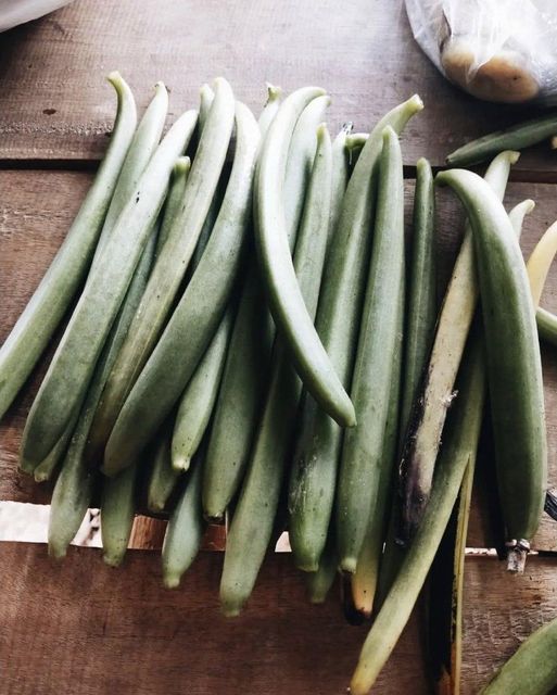Vanilla Beans (Gourmet & Tahitian) – product photo 4, product detail gallery
