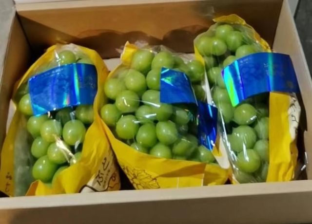 Premium Sunshine Muscat Grapes with Export Quality Supply Grade A/AB Taste Sweet Shape Round Brand Name No Size 800-1200g - Image 3
