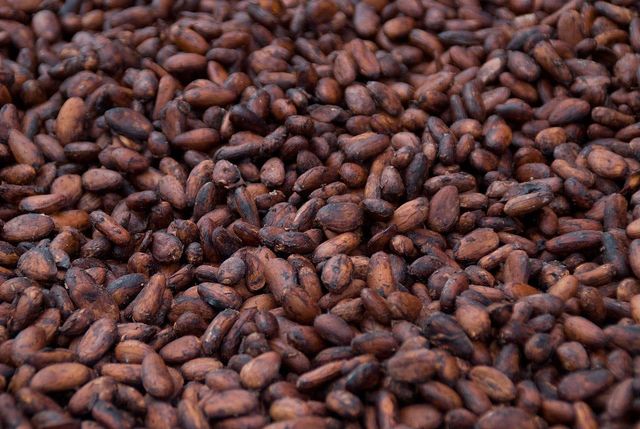 Cocoa Beans Color DARK BROWN Shelf Life 2YEARS Packaging 50-100KG BAGS Drying Process SUN DRIED Place of Origin - Image 1