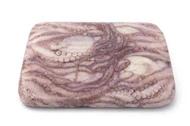 Block Frozen Octopus - Image 4