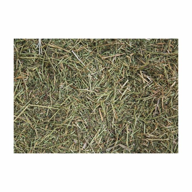 Bulk lucerne hay offered at competitive prices for global export markets - Image 4