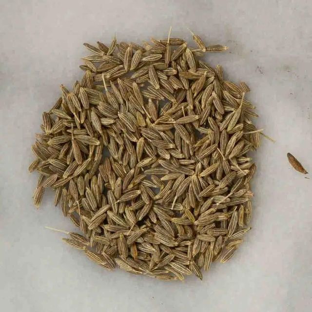 Natural Cumin Whole Seeds Premium Cumin For Large Scale Supply And Wholesale Buyers High Purity 100% - Image 1