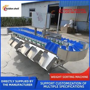 Stainless Steel Fruit Roller Sorting Machine - Image 2
