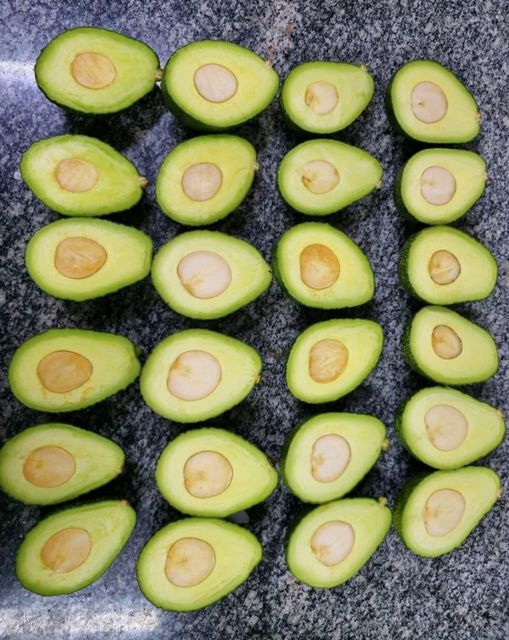 Avocados - Image 5