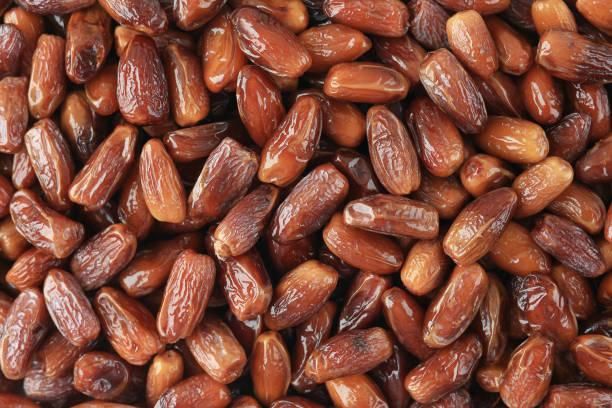 Premium Quality Dates – Wholesale Supply for Export | Fresh, Sweet, and Naturally Nutritious - Image 1