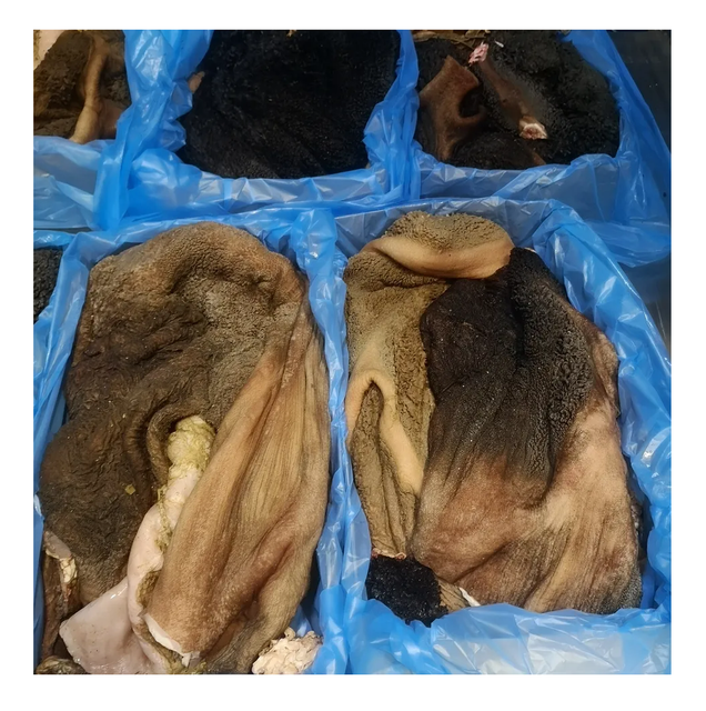 Frozen beef tripe, frozen cow stomach, beef frozen products - Image 3