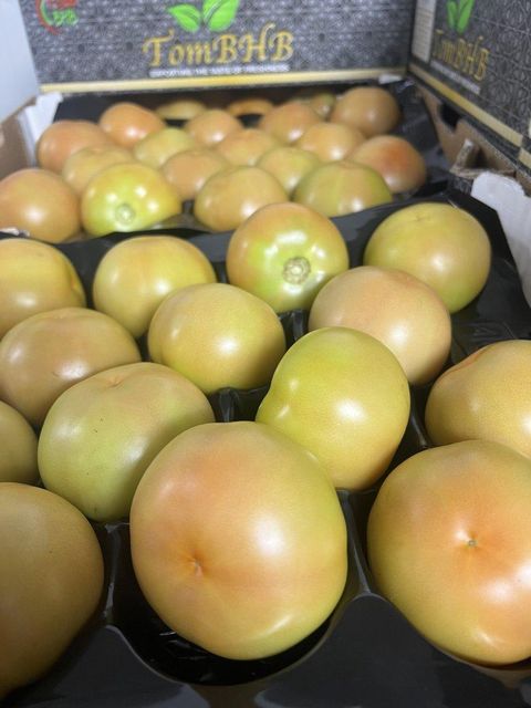 Tomatoes - Image 2