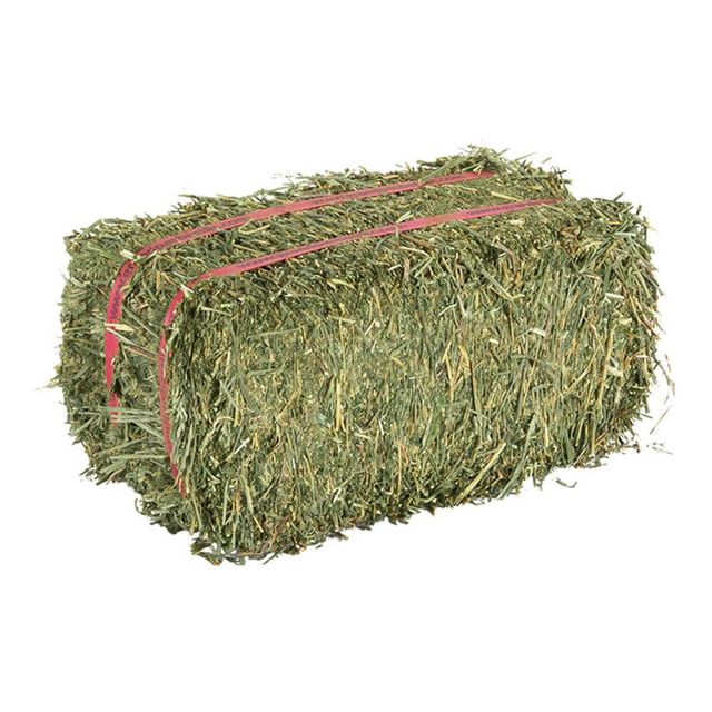 Premium Quality Fresh Alfalfa Hay Available For Sale Alfalfa Hay Packed And Delivered Safely In Bulk Quantities - Image 1