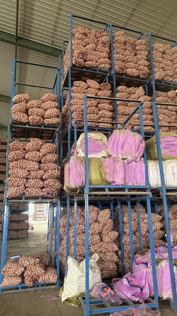 Fresh Garlic Organic Yes Origin China Delivery Form Bag, Net Bag Packaging Size > 10 kg to 25 kg, > 2 kg to 5 kg, > 5 kg to 10 kg - Image 1