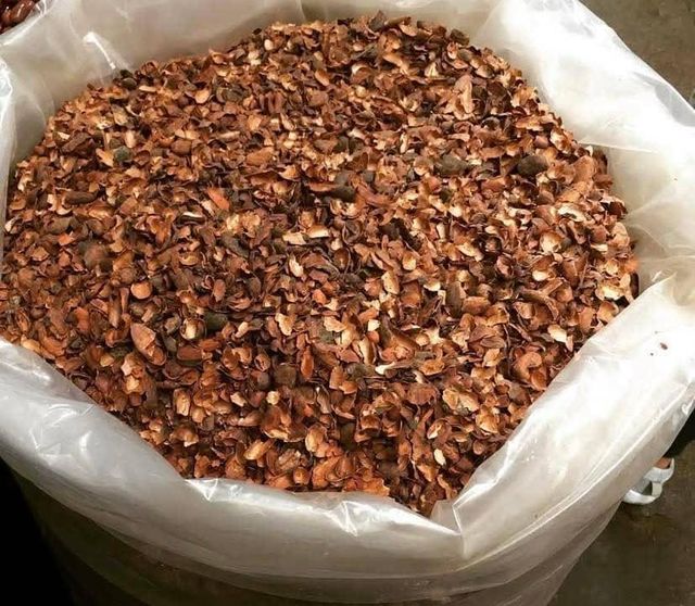 Cocoa Shells - Image 1