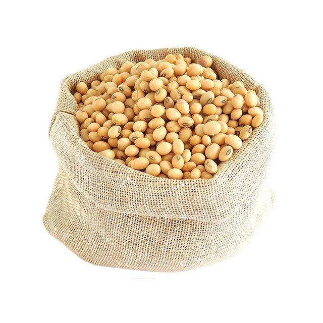 soybeans available at wholesale price for food distributors and global exporters - Image 4