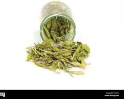 Stevia Leaves, Sun-Dried Green Grade, Indian Origin Origin India Shape Leaf Shaped. Maximum Moisture 10% Shelf Life 24 Months. - Image 4