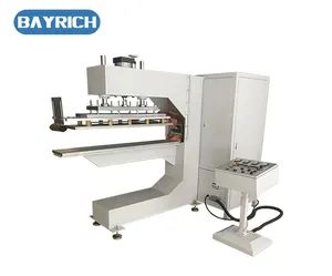 Side Wall Cleats Profiles Welding Machine Model NO. HF Condition New Certification CE Trademark BAYRICH HS Code 8477800000 - Image 5