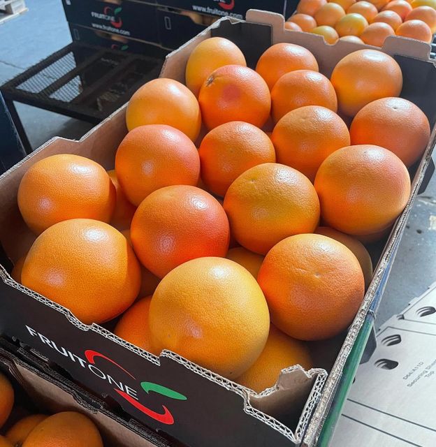 Fresh Grapefruit Export Quality Color Red Organic Yes Flavor Authentic Traceability Full Origin South Africa Quality Control Strict - Image 2