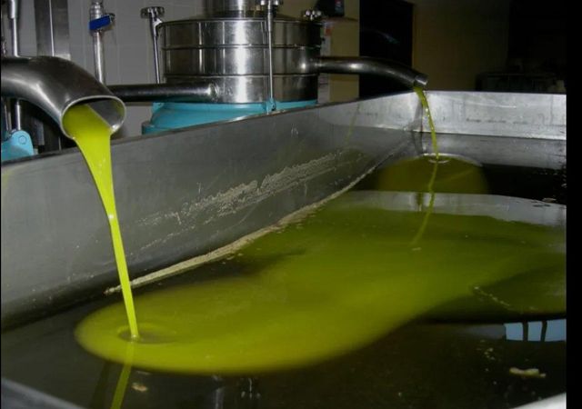 Extra virgin olive oil - Image 3