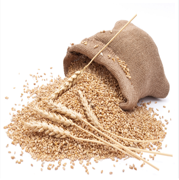 Premium Quality Durum Wheat Grain Features GMO-Free, Gluten-Free Type Durum Wheat, Einkorn Wheat, Emmer, Soft Wheat Packaging Size > 1 kg to 5 kg, > 10 kg to 25 kg, > 25 kg, > 5 kg to 10 kg, Up to 1 kg - Image 4