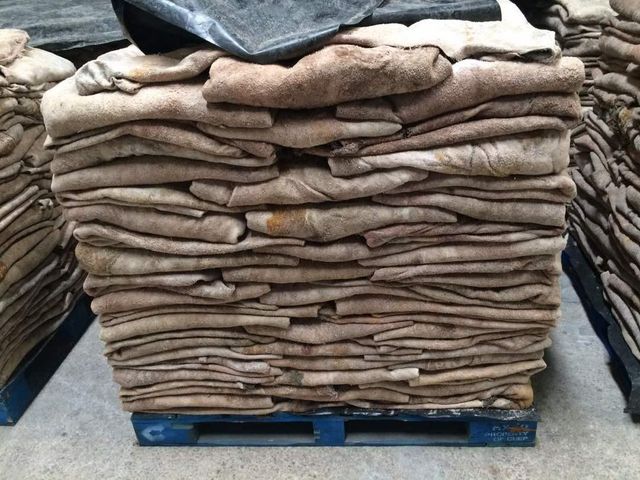 Bulk Donkey Hides Wet Salted Dry Salted Export Grade Natural Animal Skins for Leather Processing and Tanning Industry - Image 5