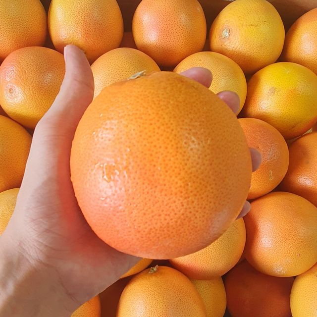Fresh Grapefruit for sale Color Red Organic Yes Origin South Africa Degree of Processing Fresh - Image 3