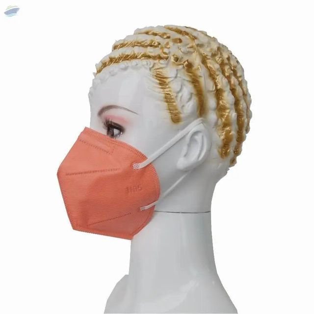N95 Face Mask - Image 1