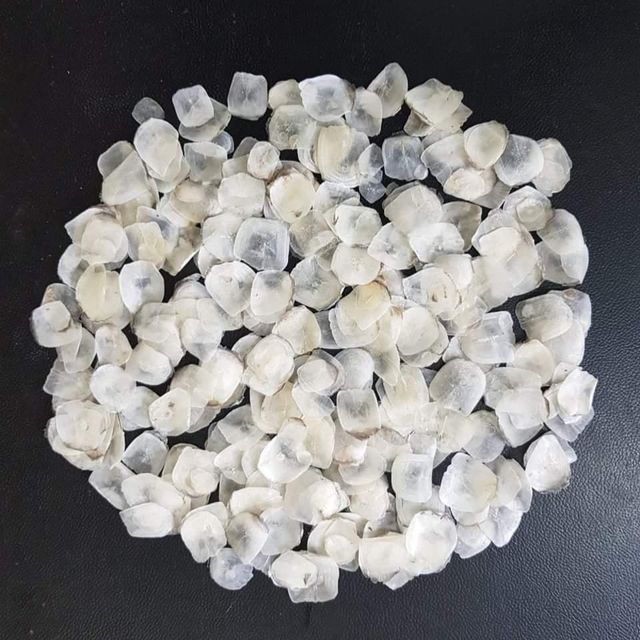 Dried Fish Scale - Image 1
