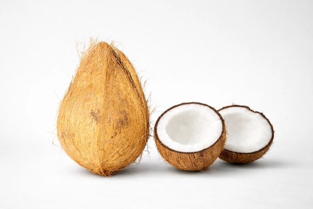 Dehusked Coconut Organic Yes Origin Indonesia Address Indonesia Shape Round / Oval Type Dehusked Coconut Variety Mature Coconut - Image 5