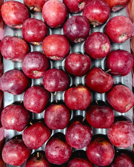 FRESH TOPRED SOUTH AFRICAN APPLES FOR SALE!! CLASS 1 EXPORT QUALITY TOPRED APPLES FOR EXPORT – product photo 4, product detail gallery