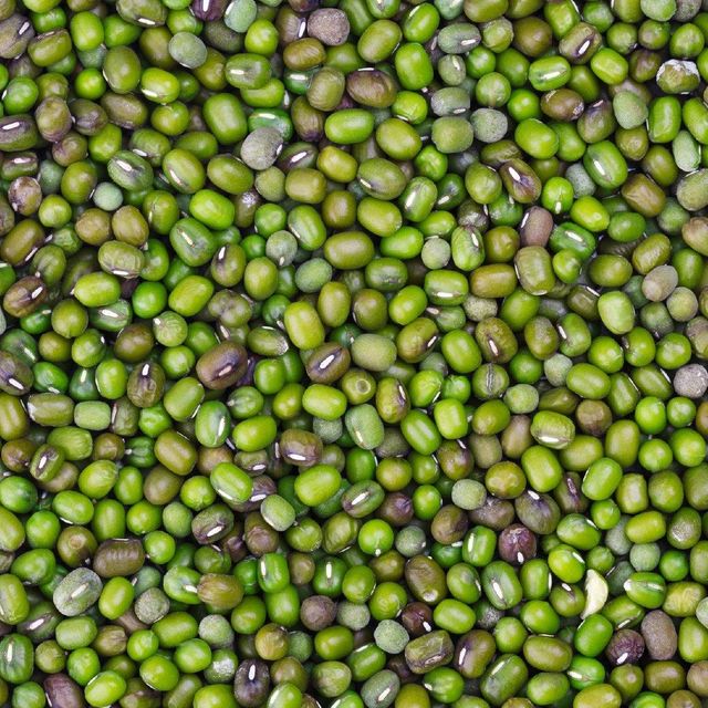 Bulk Green Mung Beans Fresh Natural Green Mung Beans Premium Quality Healthy Protein Rich Product - Image 3