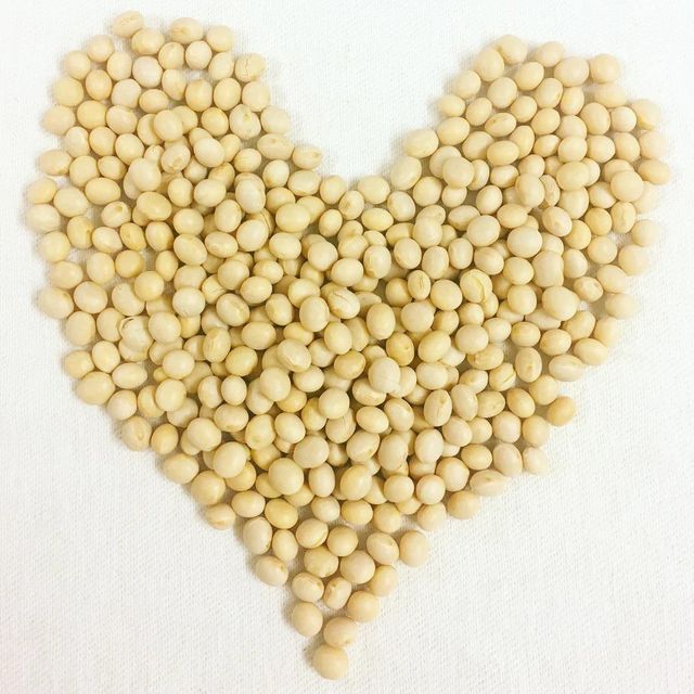 Protein Rich Soybean Seed For Food With Carefully Selected Kernels Natural Freshness And Trusted Agricultural Origin - Image 3