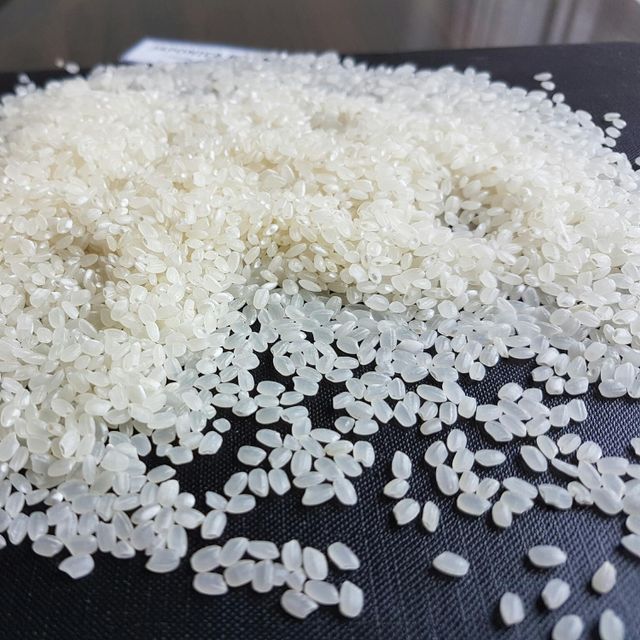 JAPONICA RICE 3% BROKEN ROUND GRAIN RICE BIG SIZE VIETNAM ORIGIN GOOD QUALITYREASONABLE PRICE Riz Arroz whatsap 0084 989 322 607 – product photo 1, product detail gallery
