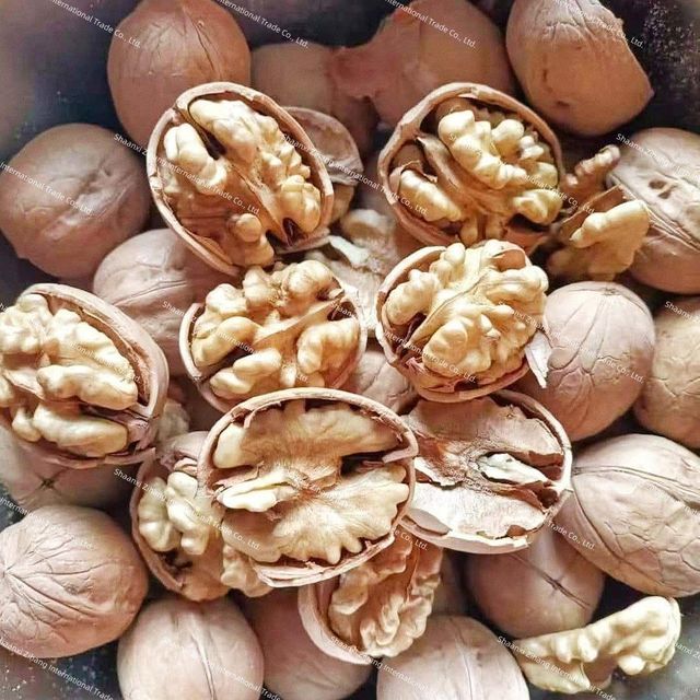 Walnut Kernel - Image 2