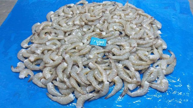 FROZEN VANNAMEI SHRIMPS HLSO BEST PRICE INDIAN SHRIMPS – product photo 3, product detail gallery