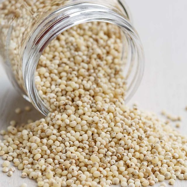 Nutrient Rich Sorghum Grains Selected Sorghum Harvest For Animal Feed Industry Bulk Distribution And Global Agricultural Trade Demand - Image 3