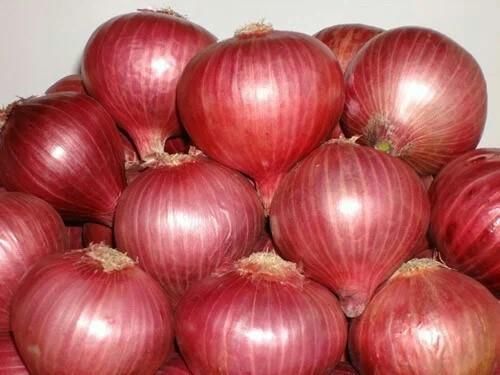 Red Onions Grade 55mm+ Texture Crisp Shelf Life Extended Origin Nashik, India Flavor Strong Sweetness Type Red Onion, Garva Onion - Image 1