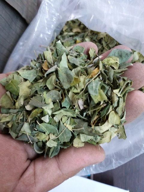 Dried Moringa Leaf TBC - Image 3