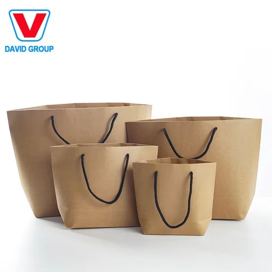 Hot Selling Reusable Paper Bags Shopping Bags for Promotion - Image 6