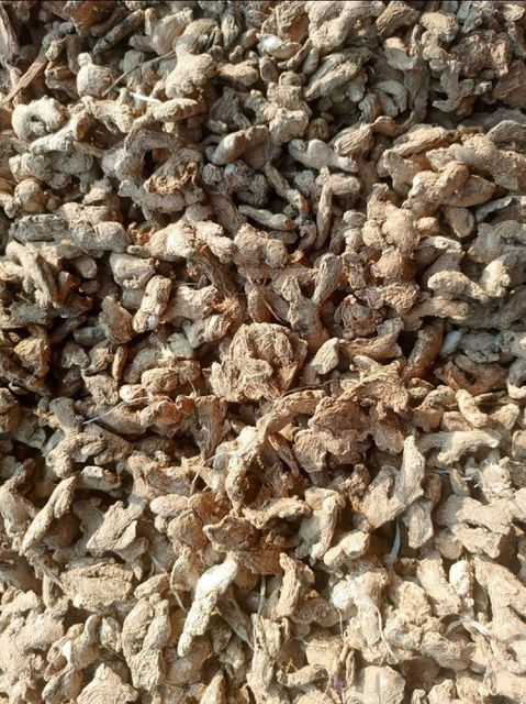 Ginger/coriander/kidney beans - Image 1