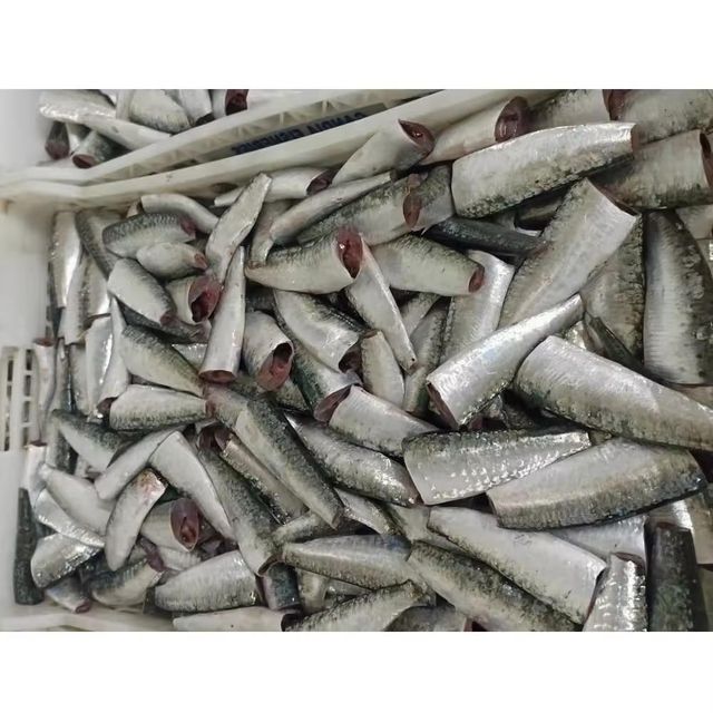 Frozen Sardine Fish Carefully Processed And Rapidly Frozen For Seafood Distribution And International Buyer Demand - Image 4