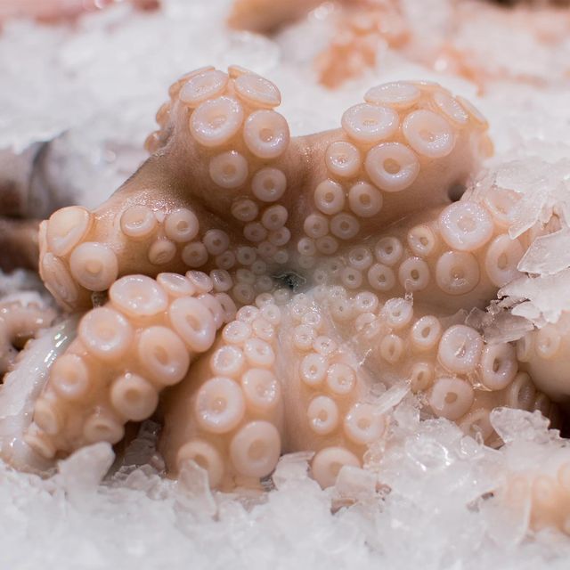 Frozen Fresh Octopus Superior Seafood Offering Firm Texture Balanced Nutrition And Dependable Export Availability - Image 4