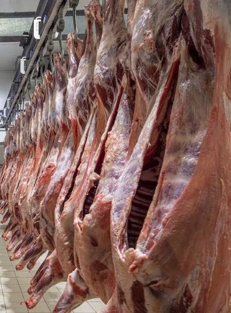 ZERO water injection. 100% meat. 100% Halal Degree of Processing frozen Meat Type Beef, Chicken, Lamb Features No Artificial Flavors - Image 3